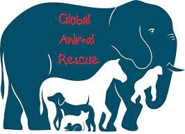 global animal rescue